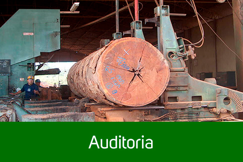 auditoria