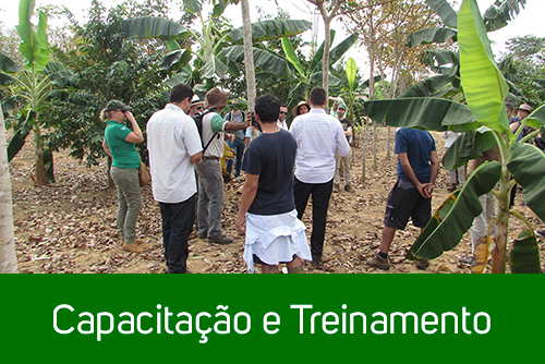 capacitacao-e-treinamento